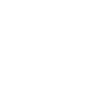 api icon